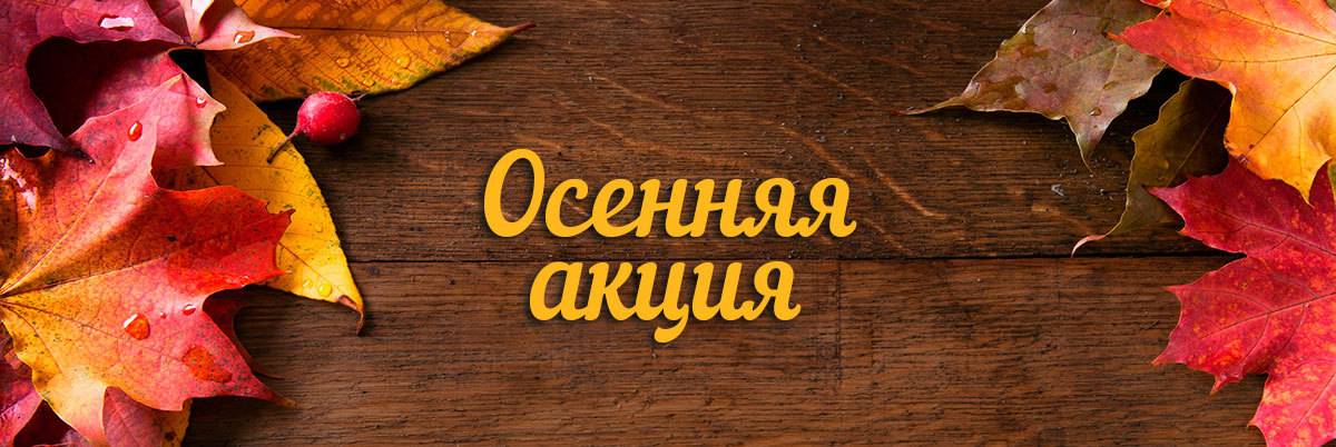 Осеннее предложение! Осеннее предложение!